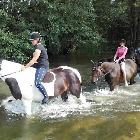 Abisynia Kaszubska Wiele Borsk Miedzy Jeziorami Wielewskim I Wdzydzkim