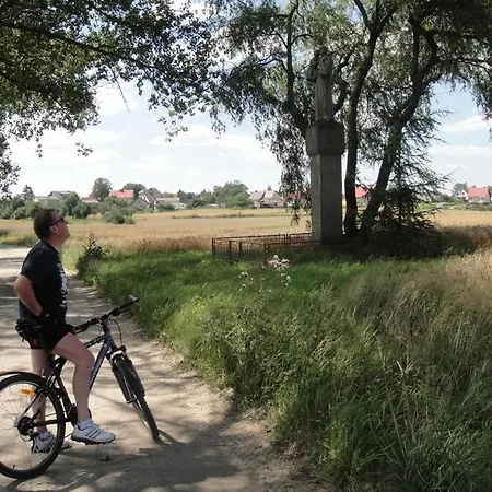 Abisynia Kaszubska Wiele Borsk Miedzy Jeziorami Wielewskim I Wdzydzkim Prázdninový dům *