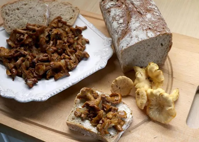 Abisynia Kaszubska Wiele Borsk Miedzy Jeziorami Wielewskim I Wdzydzkim Karsin